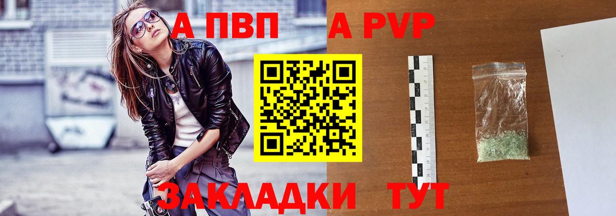 A PVP СК КРИС Камень-на-Оби
