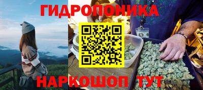 шишки Ликино-Дулёво