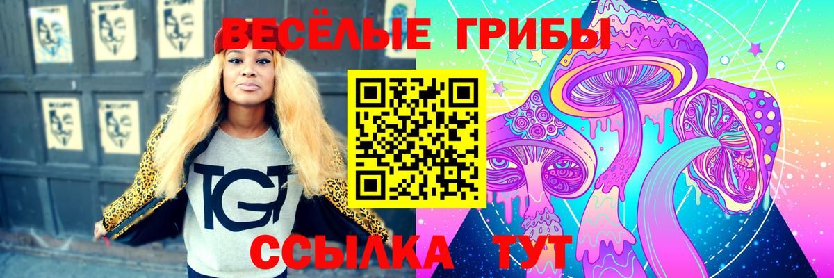 Псилоцибиновые грибы ЛСД  Галлюциногенные грибы мицелий  Вход с VPN  как найти   Камень-на-Оби 